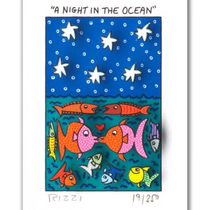 JAMES RIZZI - A NIGHT IN THE OCEAN -
