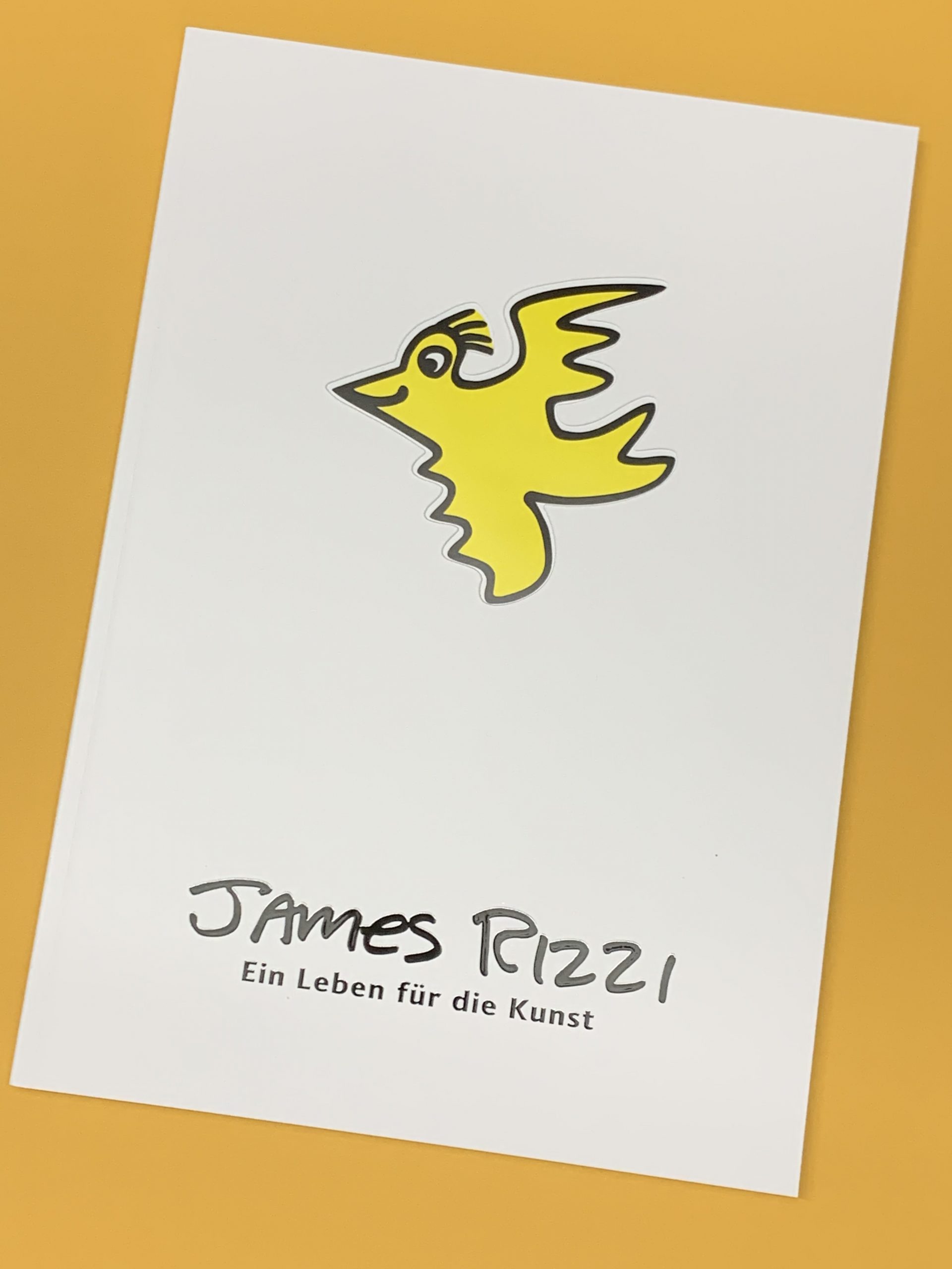 JAMES RIZZI - Buch - Ein Leben für die Kunst